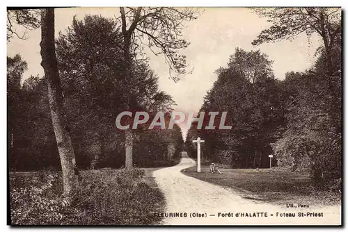 Cartes postales Fleurines Foret D'Halatte Poteau St Priest