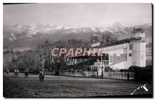 Cartes postales moderne Pau L&#39Hippodrome Et Les Pyrenees Cheval Hippisme