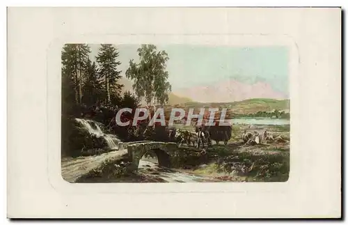 Cartes postales Attelage Boeufs