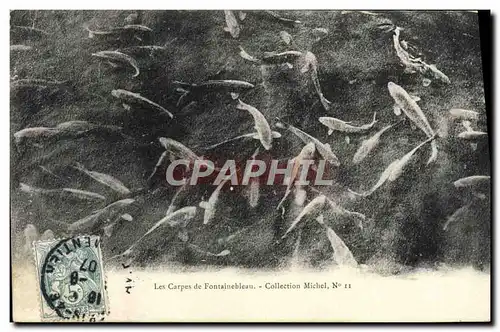 Ansichtskarte AK Les Carpes de Fontainebleau Collection Michel Poissons