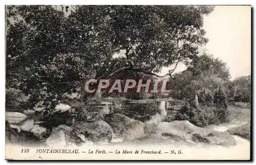 Cartes postales Fontainebleau La Foret La Mare de Franchard