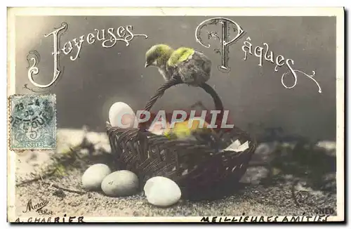 Cartes postales Fantaisie Paques Poussin oeufs