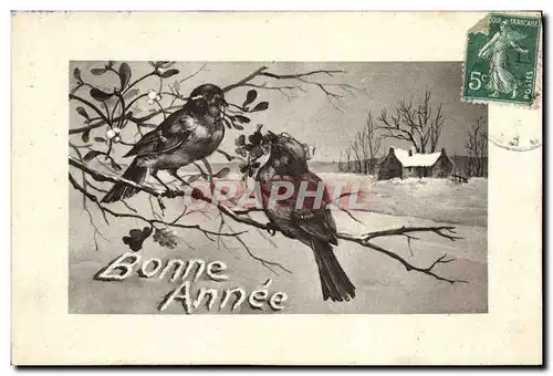 Cartes postales Fantaisie Oiseaux Bonne annee