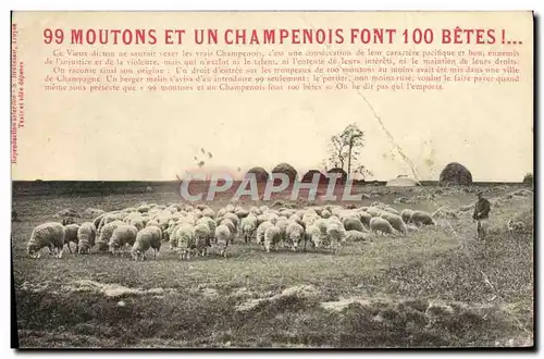 Ansichtskarte AK 99 Moutons Et Un Champenois Font 100 betes