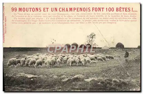 Cartes postales 99 Moutons Et Un Champenois Font 100 betes