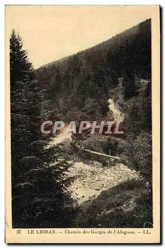 Ansichtskarte AK Le Lioran Chemin Des Gorges De I&#39Alagnon