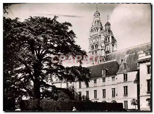 Cartes postales moderne Tours Le cedre centenaire du musee et les tours de la cathedrale