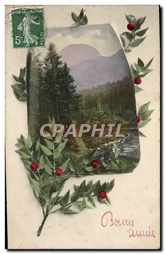 Cartes postales Fantaisie Bonne Annee