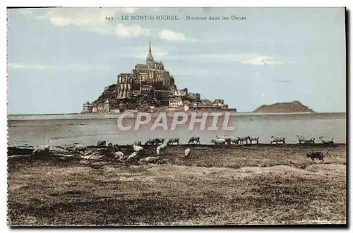 Ansichtskarte AK Le Mont St Michel Moutons Dans les Dunes