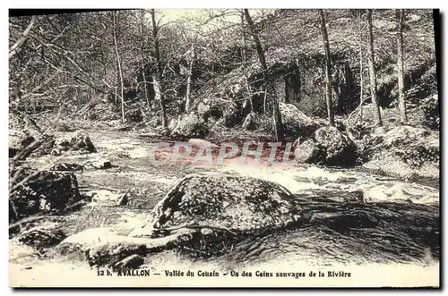 Cartes postales Avallon Vallee du Cousin Un des Coins sauvages de la Riviere