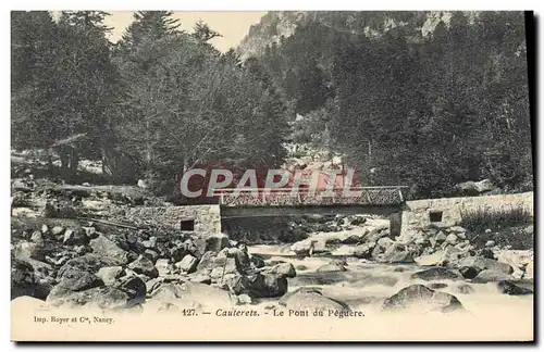 Ansichtskarte AK Cauterets Le Pont du Peguere