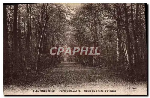Cartes postales Fleurines d'Halatte Route du Chene a l'Image