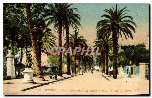 Cartes postales Hyeres L'Avenue Des Palmiers