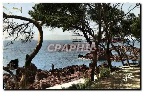 Cartes postales moderne Saint Raphael