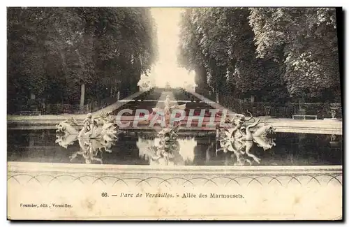 Cartes postales Parc De Versailles Allee Des Marmousets