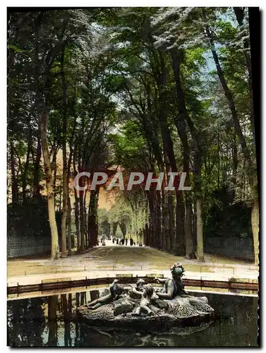 Cartes postales Versailles Jardins Du Palais Bassin de Ceres Allee de L&#39Ete