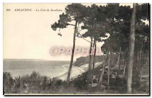 Ansichtskarte AK Arcachon La Cote de Moulleau