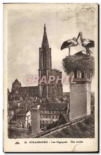 Cartes postales Strasbourg Les Cigognes