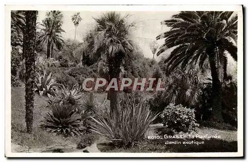 Ansichtskarte AK Grasse La Parfumee Jardin Exotique