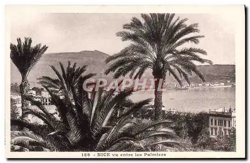 Cartes postales Nice vu entre les Palmiers