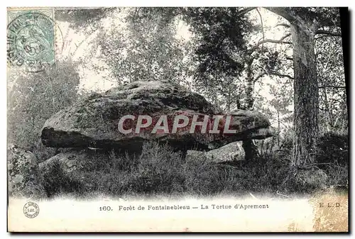 Ansichtskarte AK Foret de Fontainebleau La Tortue d&#39Apremont