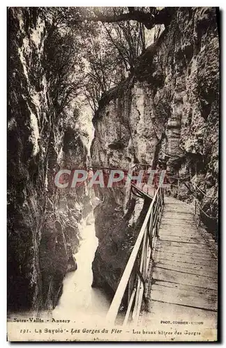 Cartes postales La Savoie Les Gorges du Fier Les beaux hetres des gorges