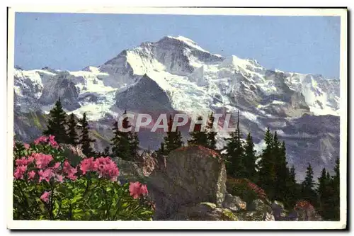 Cartes postales moderne Jungfrau
