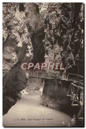 Cartes postales Les Gorges Du Trient