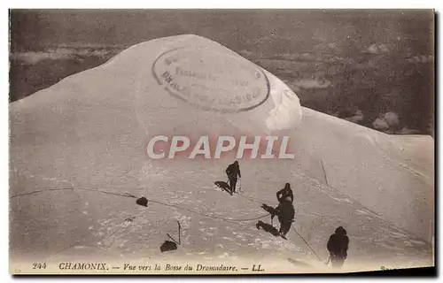 Cartes postales Chamonix Vue vers la Bosse du Dromadaire Chameau Alpinisme