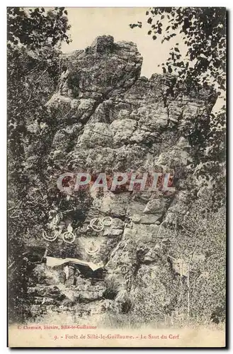 Cartes postales Foret de Sitte le Guillaume Le Saut du Cerf