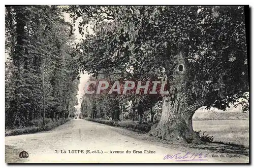 Cartes postales La Loupe Avenue de Gros Chene