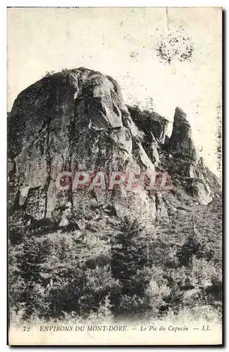 Cartes postales Environs du Mont dore La Pic du Capucin