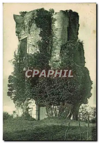 Cartes postales Environs de Saintes Tailleboug Vestiges du chateau Saint Louis