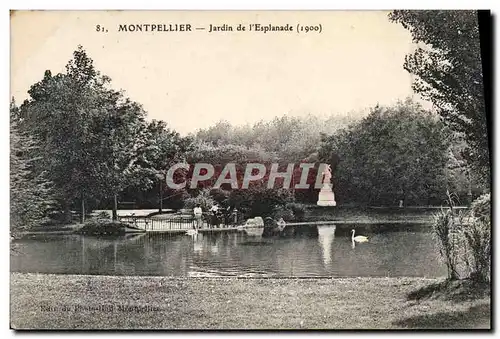 Cartes postales Montpellier Jardin de L'Esplanade