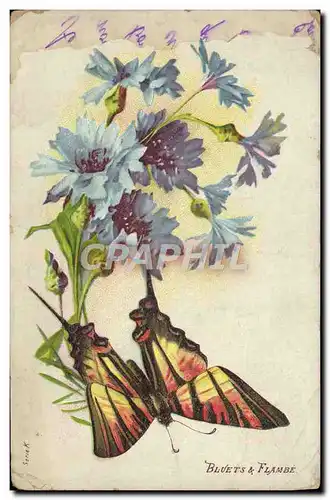 Cartes postales Bluets Flambe Papillon