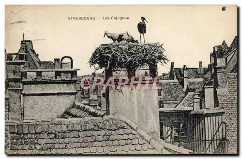 Cartes postales Strasbourg Les Cigognes