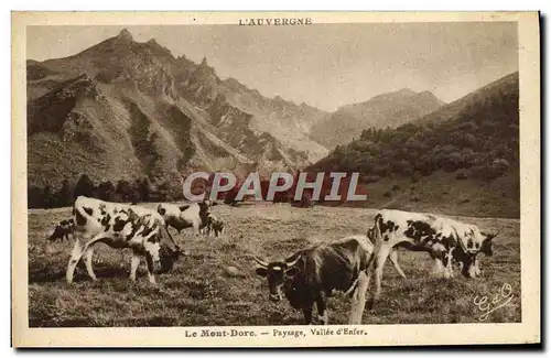 Cartes postales Le Mont Dore Paysage Vallee D&#39enfer Vaches