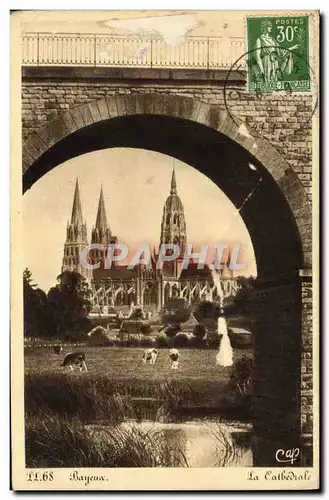 Cartes postales Bayeux La cathedrale Vaches