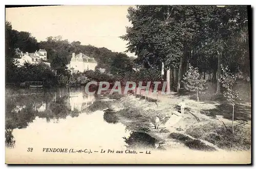 Cartes postales Vendome Le Pre Aux Chats