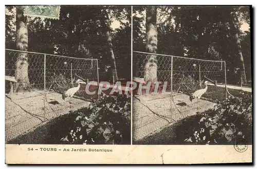 Cartes postales Tours Au Jardin Botanique Zoo