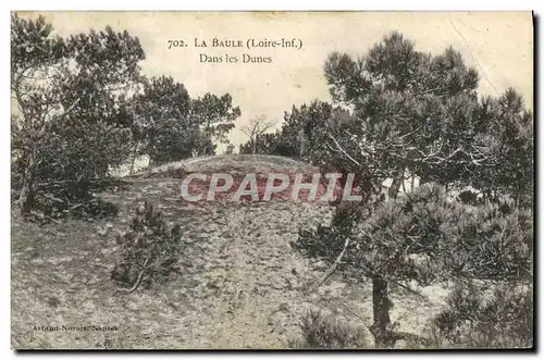 Ansichtskarte AK La Baule Dans Les Dunes