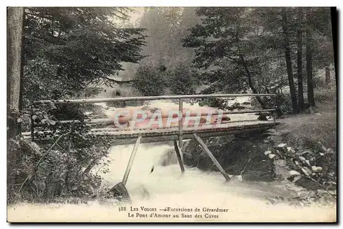 Cartes postales Les Vosges Excursions de Gerardmer Le pont d'Amour au saut des cuves
