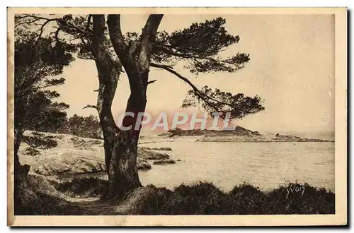 Cartes postales Les iles d'Hyeres Porquerolles Bord de mer