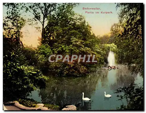 Cartes postales Badenweiler Partie im Kurpark