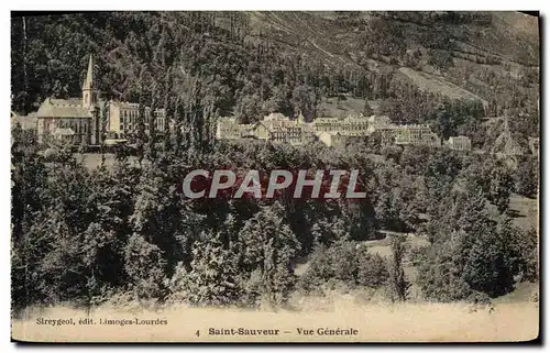 Cartes postales Saint Sauveur vue Generale