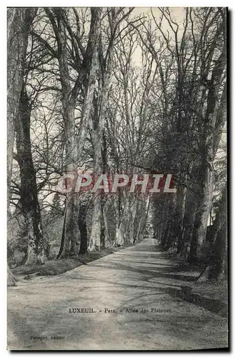 Cartes postales Luxeuil Parc Allee des Platanes