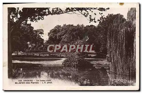 Cartes postales Angers Un Beau Coin Du Jardin des Plantes