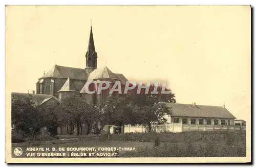 Cartes postales Abbaye ND de Scourmont Forges Chimay Vue d&#39ensemble Eglise et Noviciat