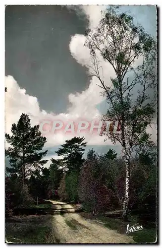 Moderne Karte Les Merveilles Du Val De Loire Faysages De Sologne Chemin forestier