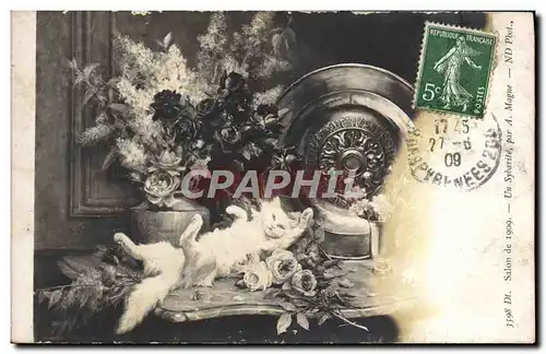 Cartes postales Salon de 1909 Un Sybarite Par Magne Chat